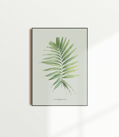 Quadro Decorativo Palm Elegans - Fundo Pistacchio