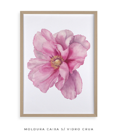 Quadro Decorativo Peonia I