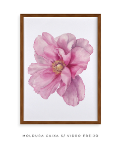 Quadro Decorativo Peonia I na internet