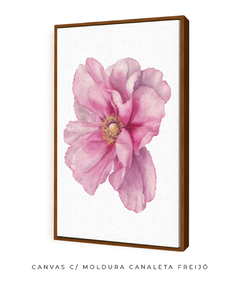 Quadro Decorativo Peonia I na internet