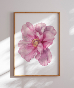 Quadro Decorativo Peonia I