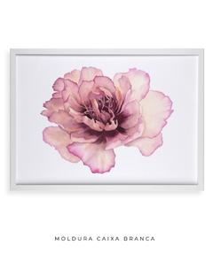 Quadro Decorativo Peonia II - loja online