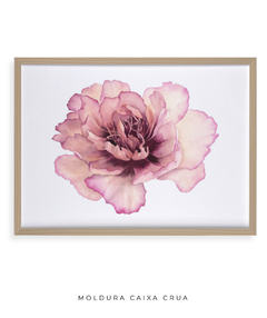 Quadro Decorativo Peonia II