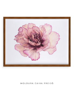 Quadro Decorativo Peonia II na internet