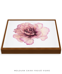 Quadro Decorativo Peonia II - Flowersjuls - Quadros botânicos decorativos | Aquarelas autorais