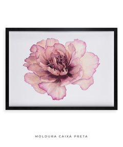 Quadro Decorativo Peonia II - loja online