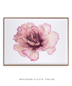 Quadro Decorativo Peonia II na internet