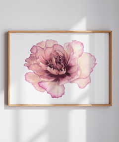 Quadro Decorativo Peonia II