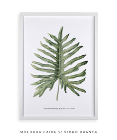 Quadro Decorativo Philodendron Guaimbé - Flowersjuls - Quadros botânicos decorativos | Aquarelas autorais