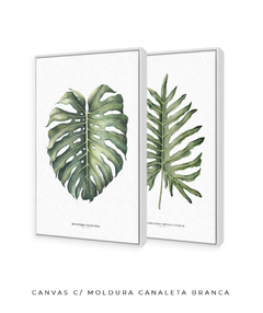Quadro Decorativo Philodendron Guaimbé + Monstera - Flowersjuls - Quadros decorativos botânicos | Aquarelas autorais