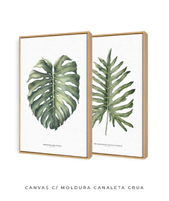 Quadro Decorativo Philodendron Guaimbé + Monstera - loja online