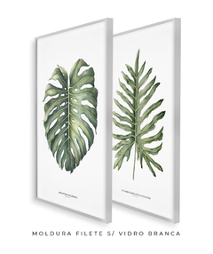 Quadro Decorativo Philodendron Guaimbé + Monstera na internet