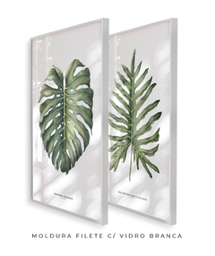 Quadro Decorativo Philodendron Guaimbé + Monstera - Flowersjuls - Quadros decorativos botânicos | Aquarelas autorais