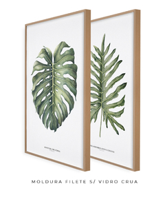 Quadro Decorativo Philodendron Guaimbé + Monstera - loja online