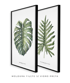 Quadro Decorativo Philodendron Guaimbé + Monstera na internet