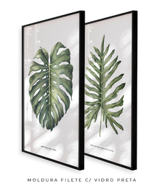 Quadro Decorativo Philodendron Guaimbé + Monstera - Flowersjuls - Quadros botânicos decorativos | Aquarelas autorais