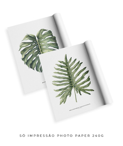 Quadro Decorativo Philodendron Guaimbé + Monstera - loja online
