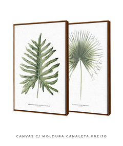Quadro Decorativo Philodendron Guaimbé + Palmeira Leque - loja online