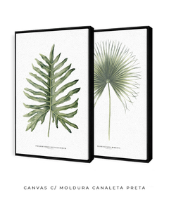 Imagem do Quadro Decorativo Philodendron Guaimbé + Palmeira Leque