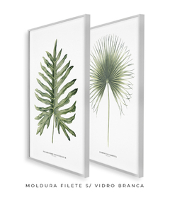 Imagem do Quadro Decorativo Philodendron Guaimbé + Palmeira Leque