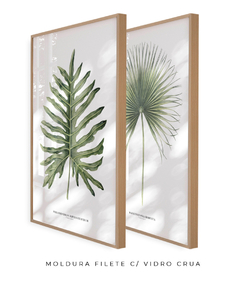 Quadro Decorativo Philodendron Guaimbé + Palmeira Leque - comprar online