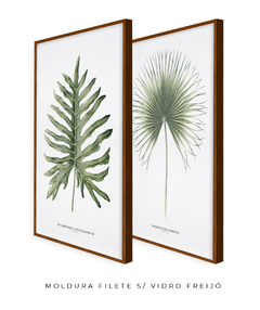 Quadro Decorativo Philodendron Guaimbé + Palmeira Leque