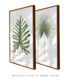 Quadro Decorativo Philodendron Guaimbé + Palmeira Leque - Flowersjuls - Quadros decorativos botânicos | Aquarelas autorais