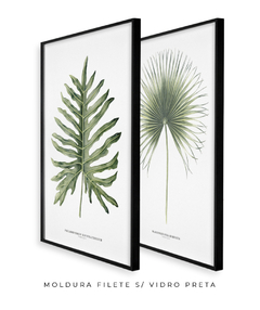 Quadro Decorativo Philodendron Guaimbé + Palmeira Leque - comprar online
