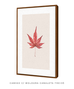 Quadro Decorativo Platano I - comprar online