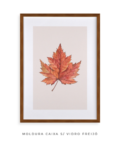 Quadro Decorativo Platano II - comprar online