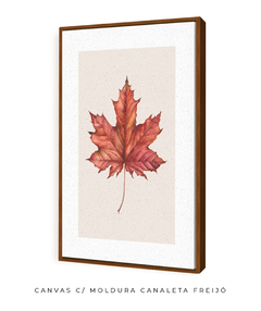 Quadro Decorativo Platano IV - comprar online