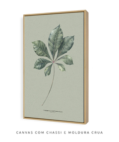 Quadro Decorativo Tabebuia Heptaphylla - Fundo Pistacchio - comprar online