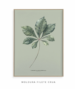 Quadro Decorativo Tabebuia Heptaphylla - Fundo Pistacchio na internet