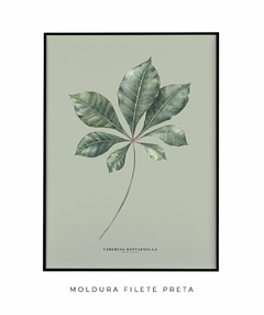 Quadro Decorativo Tabebuia Heptaphylla - Fundo Pistacchio - Flowersjuls - Quadros decorativos botânicos | Aquarelas autorais