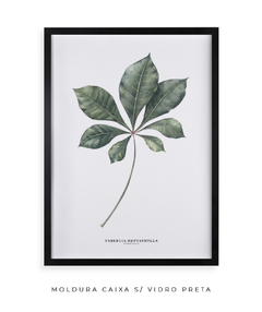 Quadro decorativo Tabebuia Heptaphylla (Ipê) - loja online