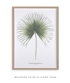 Quadro Decorativo Washingtonia Robusta - comprar online