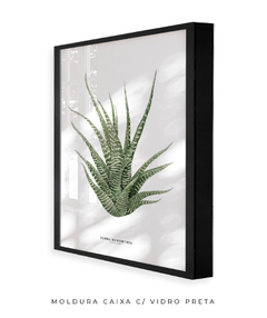 Quadro DECORATIVO Zebra Haworthia - loja online