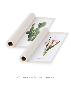 Quadros Decorativos Cactos Opuntia + Orquídea Laelia Carnea - Flowersjuls - Quadros decorativos botânicos | Aquarelas autorais