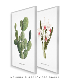 Imagem do Quadros Decorativos Cactos Opuntia + Orquídea Laelia Carnea