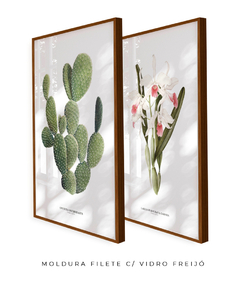Quadros Decorativos Cactos Opuntia + Orquídea Laelia Carnea - Flowersjuls - Quadros decorativos botânicos | Aquarelas autorais