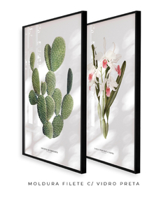 Quadros Decorativos Cactos Opuntia + Orquídea Laelia Carnea na internet