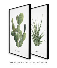 Quadros Decorativos Dupla Cactos Opuntia + Zebra Haworthia - Flowersjuls - Quadros decorativos botânicos | Aquarelas autorais