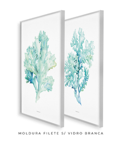 Quadros Decorativos Dupla Corais - Flowersjuls - Quadros decorativos botânicos | Aquarelas autorais