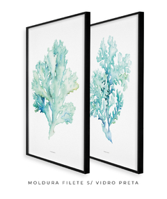 Quadros Decorativos Dupla Corais - Flowersjuls - Quadros decorativos botânicos | Aquarelas autorais