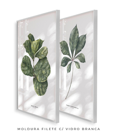 Quadros Decorativos Dupla Ficus + Tabebuia - Flowersjuls - Quadros decorativos botânicos | Aquarelas autorais