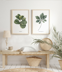 Quadros Decorativos Dupla Ficus + Tabebuia