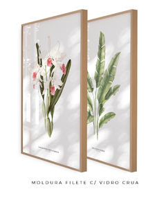 Quadros Decorativos Dupla Heliconia + Orquidea Laelia P. Carnea - Flowersjuls - Quadros decorativos botânicos | Aquarelas autorais
