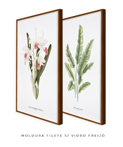 Quadros Decorativos Dupla Heliconia + Orquidea Laelia P. Carnea - loja online