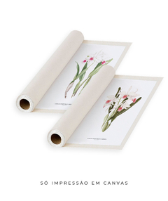 Quadros Decorativos Dupla Orquideas Laelia Prurpurata - comprar online