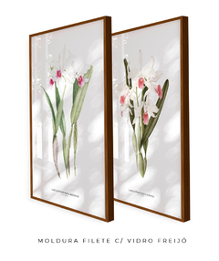 Quadros Decorativos Dupla Orquideas Laelia Prurpurata - comprar online